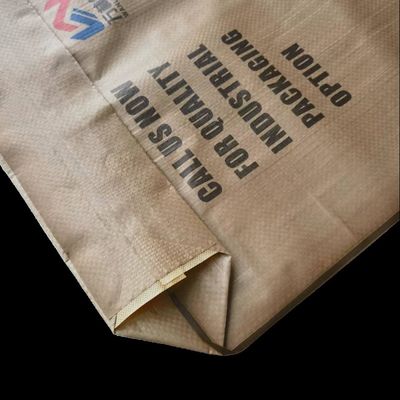 Moisture Proof PP Valve Bag with Heat Seal for 20kg-50kg Cement and Gypsum Powder