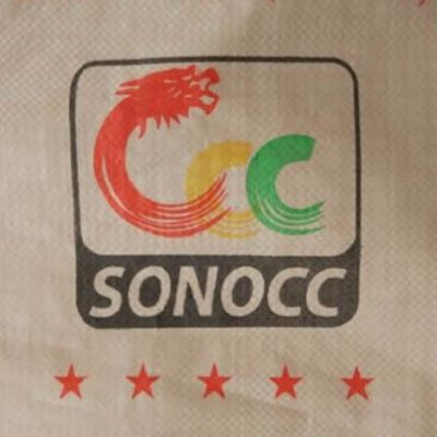 25-50 kg PP Woven Cement Bag z podciśnieniem zaworu